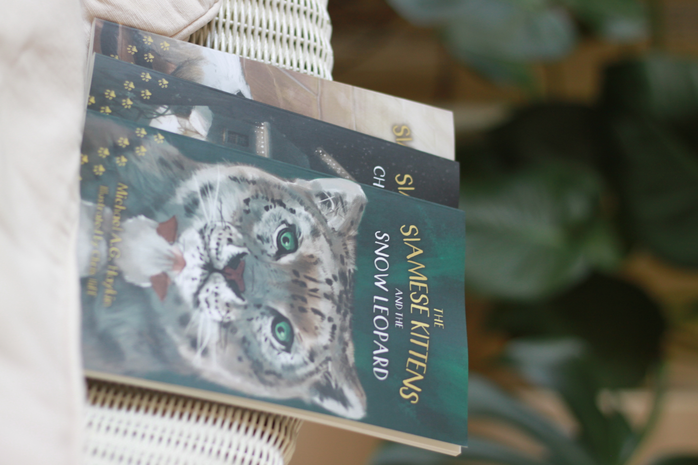 The Siamese Kittens and the Snow Leopard