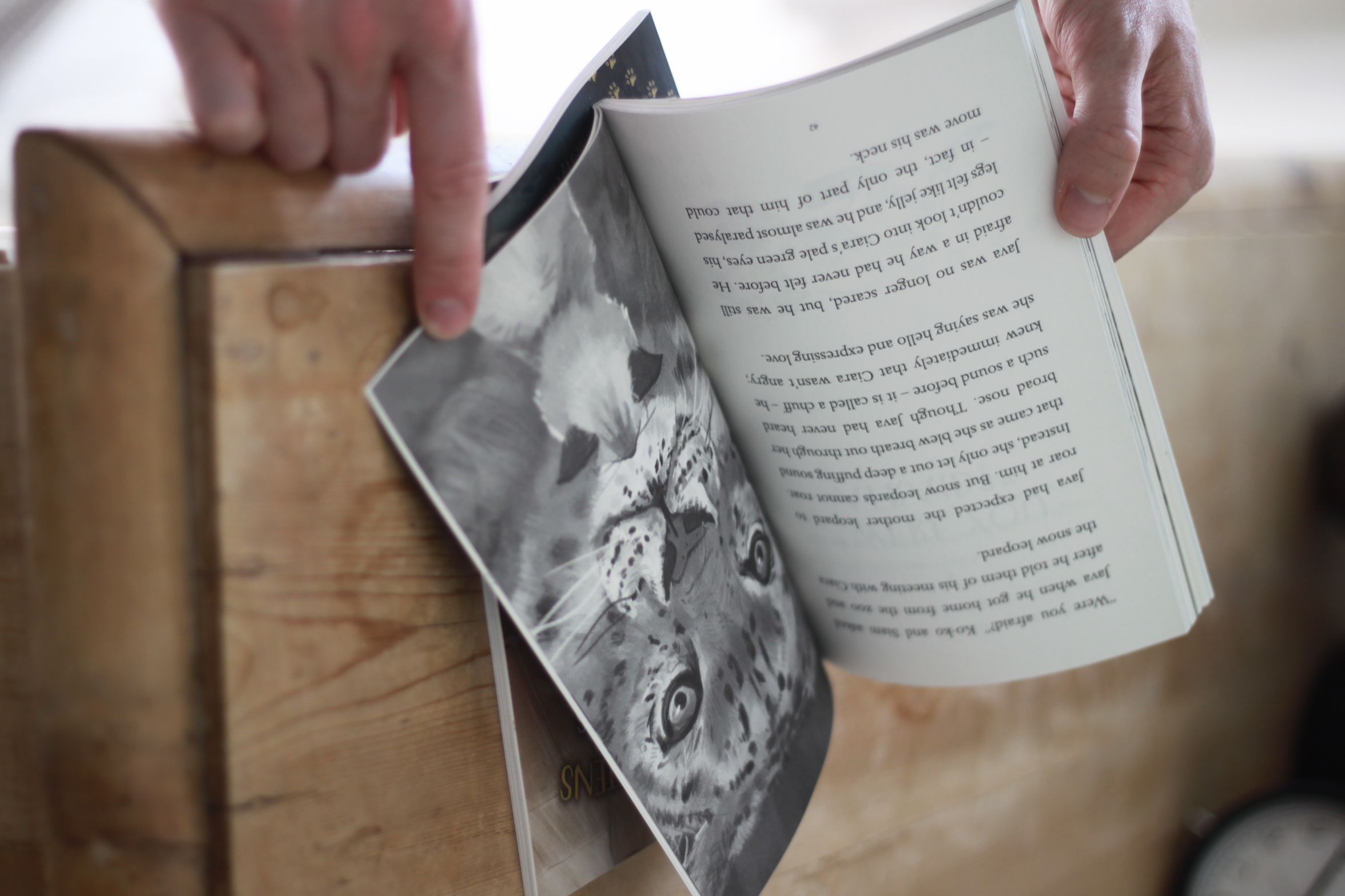 The Siamese Kittens and the Snow Leopard