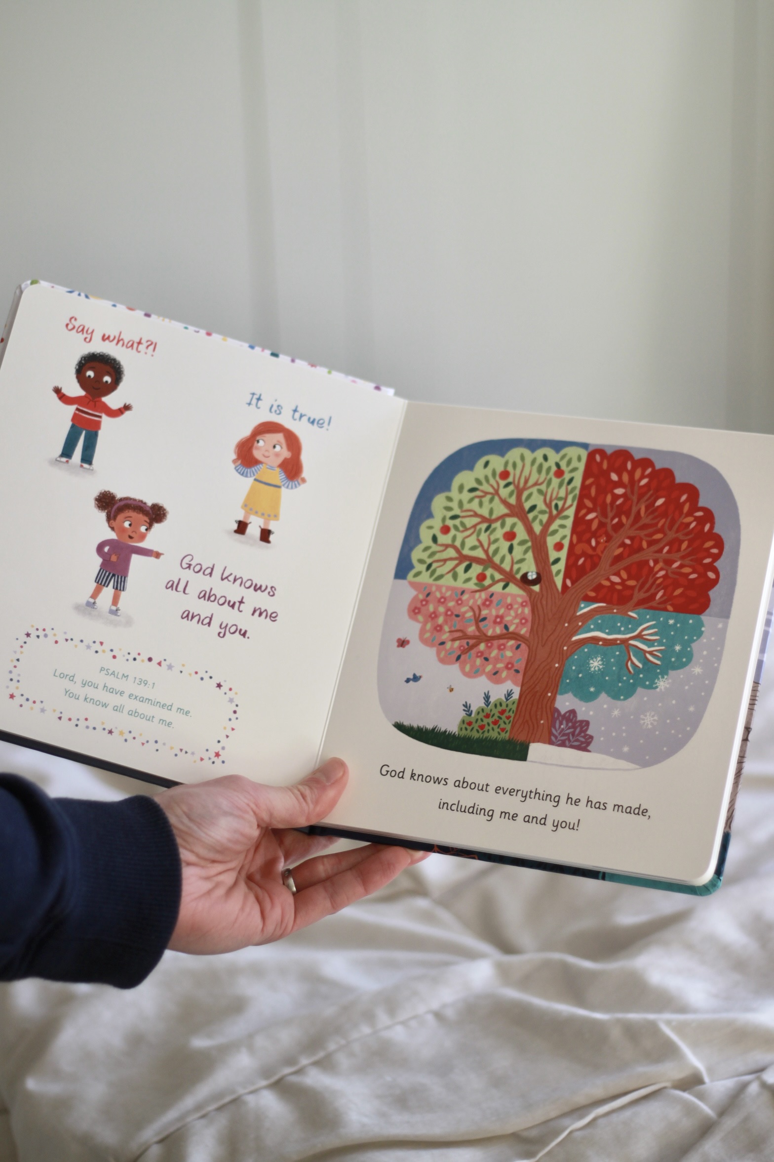 Say What?! Board Book