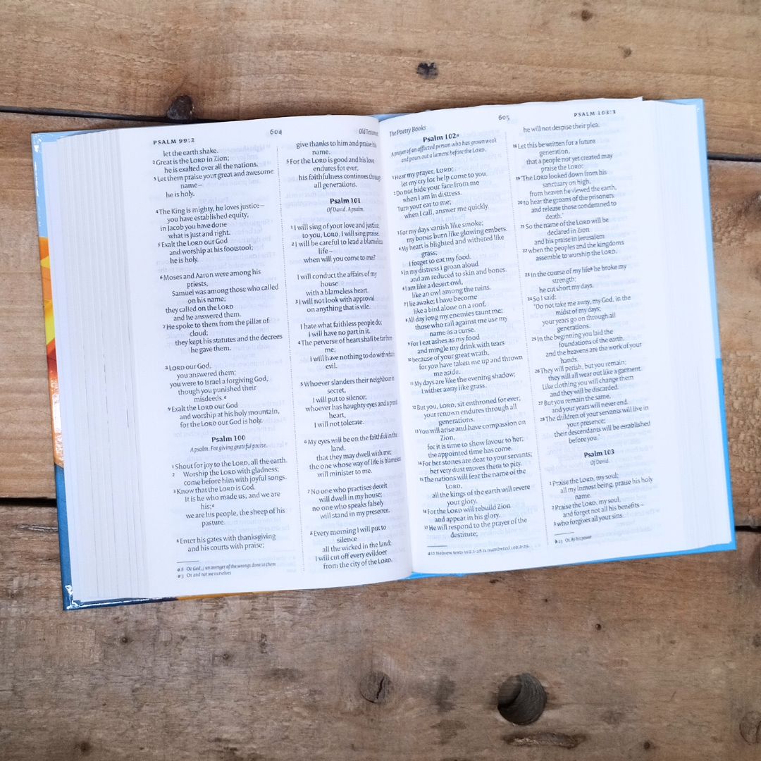 NIV Bible for Children