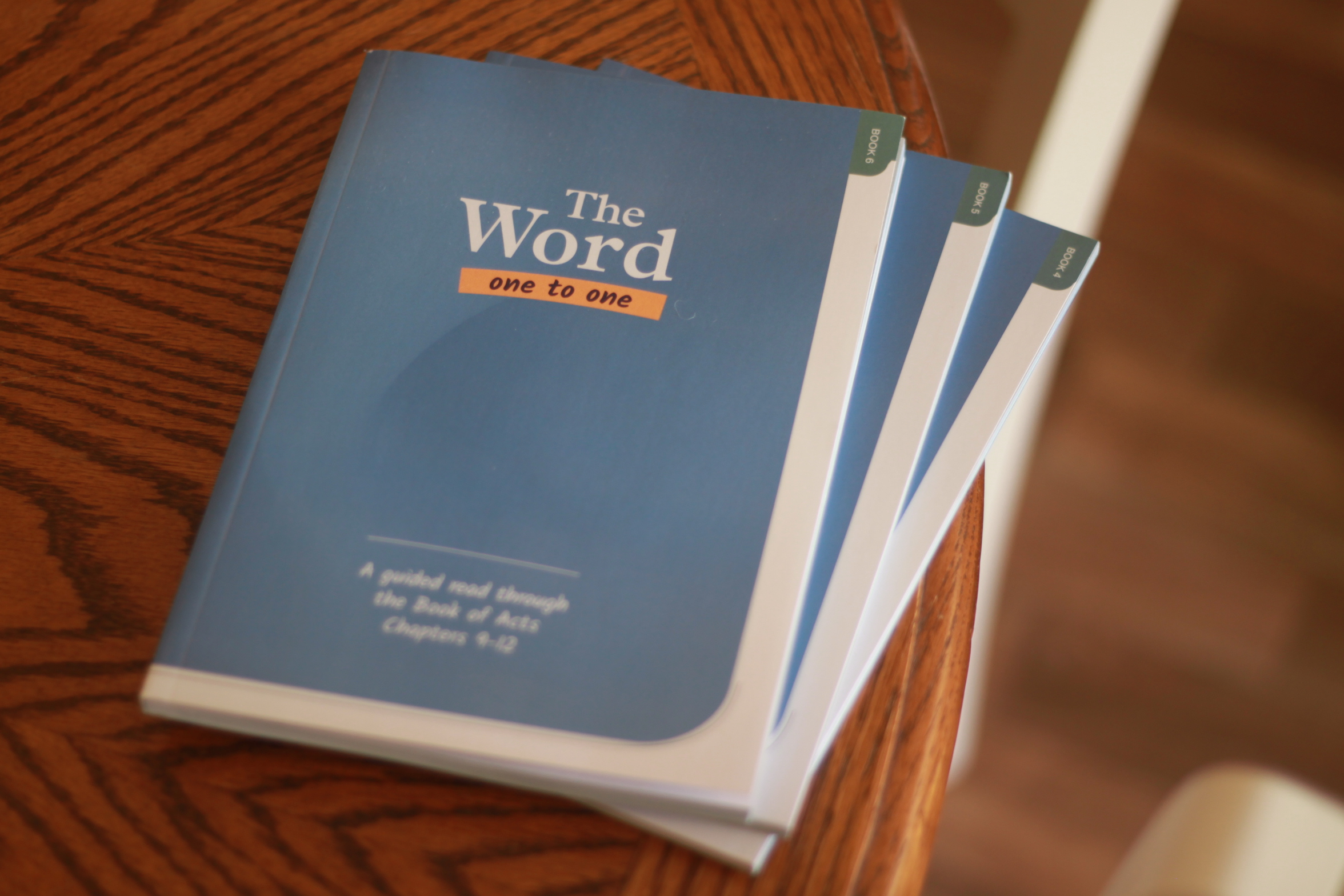 The Word One to One: Acts Pack 2