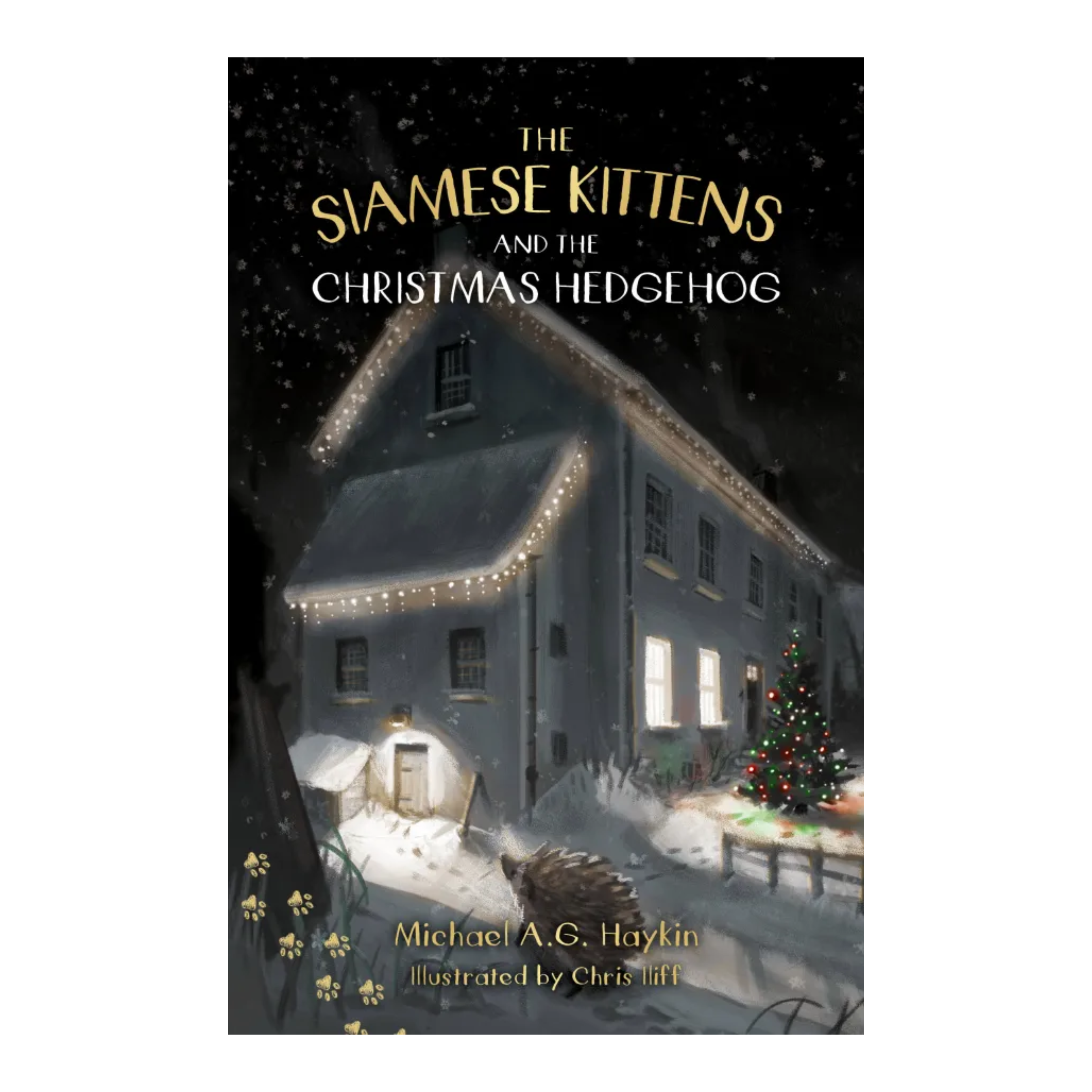 St John & Haykin Bundle (Summer Reading Challenge)