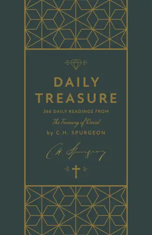 Daily Treasure