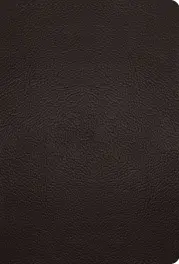 ESV Large Print Compact Bible