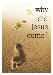 Why Did Jesus Come? (Access for All) (Tract)