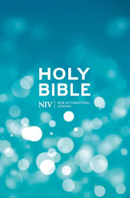 NIV Popular Blue Pew Bible