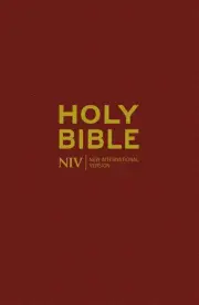NIV Popular Burgundy Pew Bible