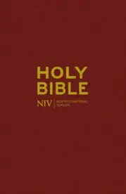 NIV Popular Burgundy Pew Bible [Pack of 20]
