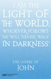 Gospel of John (2011 NIV)