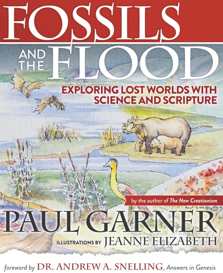 Fossils and the Flood