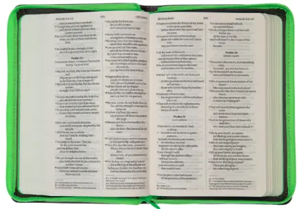 NIV Popular Soft-tone Bible with Zip