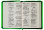 NIV Popular Soft-tone Bible with Zip