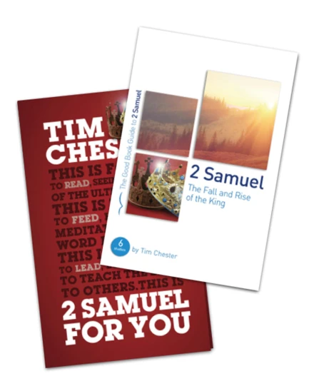 2 Samuel Study Pack