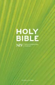 NIV Schools Bible