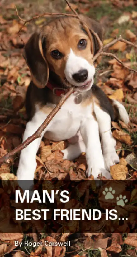 Man's Best Friend Is... (Tract)