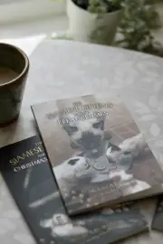 The Siamese Kittens and the Breadcrumbs