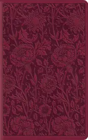 ESV Large Print Compact Bible