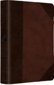 ESV Large Print Compact Bible