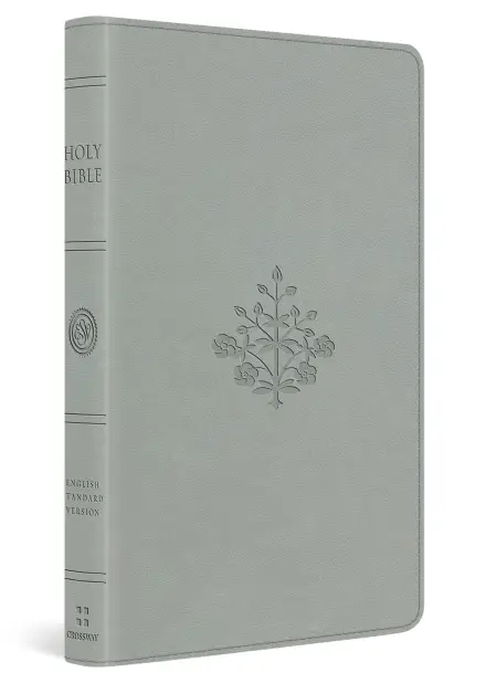ESV Large Print Value Thinline Bible (TruTone, River Stone, Branch Design)