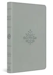 ESV Large Print Value Thinline Bible (TruTone, River Stone, Branch Design)