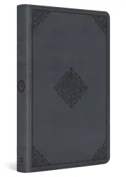 ESV Large Print Thinline Bible (TruTone, Azurite Blue, Ornament Design)