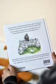 The Runaway Sheep