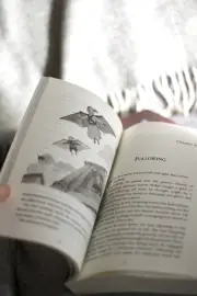 The Green Ember (Book I)