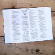 NIV Bible for Children