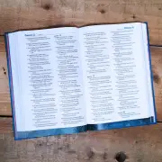 NLT Hands-On Bible (Revised)