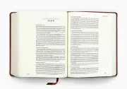 ESV Single Column Journaling Bible