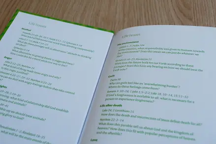 NIV Schools Bible