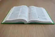 NIV Schools Bible