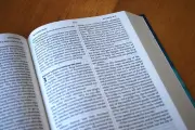 NIV Popular Blue Pew Bible [Pack of 20]