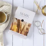 The Hodder Bible Commentary: Mark