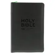 NIV Popular Soft-tone Bible with Zip