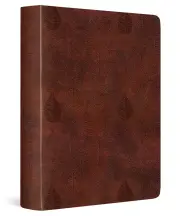 ESV Single Column Journaling Bible
