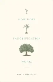 How Does Sanctification Work?