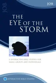 The Eye of the Storm (Job) [IBS]