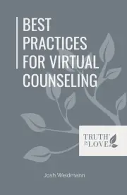 Best Practices for Virtual Counseling