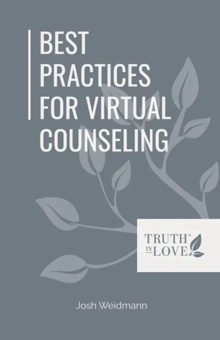 Best Practices for Virtual Counseling