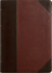ESV Large Print Wide Margin Bible