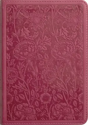 ESV Large Print Compact Bible