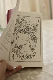 The Lost Prince