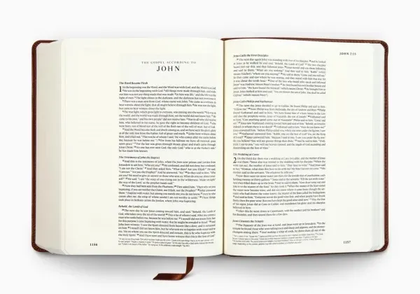 ESV Single Column Journaling Bible
