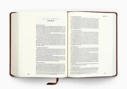 ESV Single Column Journaling Bible