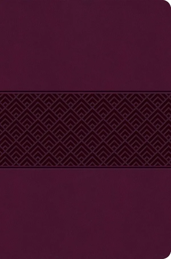 CSB Everyday Study Bible