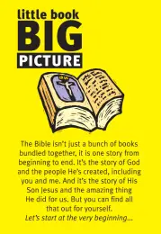 Little Book: Big Picture (Tract)
