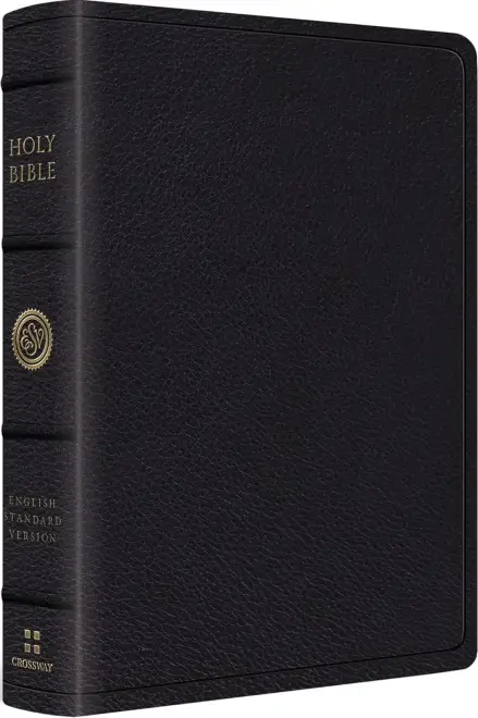 ESV Wide Margin Reference Bible