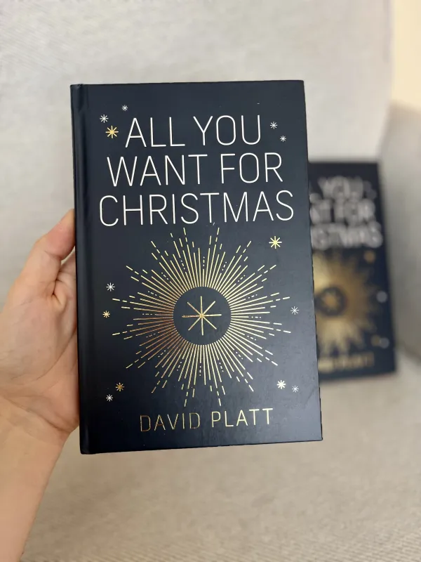 All You Want For Christmas