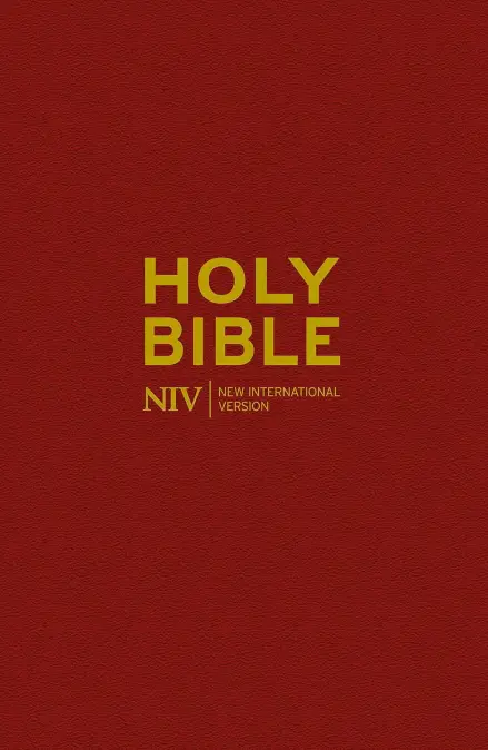 NIV Popular Burgundy Pew Bible